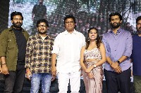 Rebels of Thupakulagudem Pre Release Event Photos